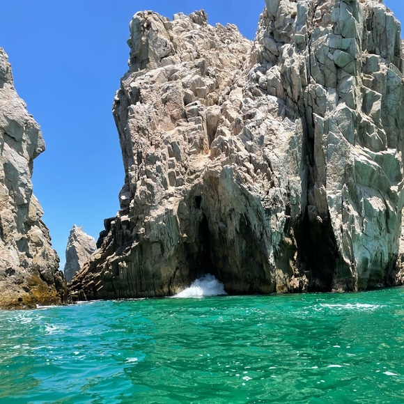 Meet your Posher, Monique - Picture 1 of 1